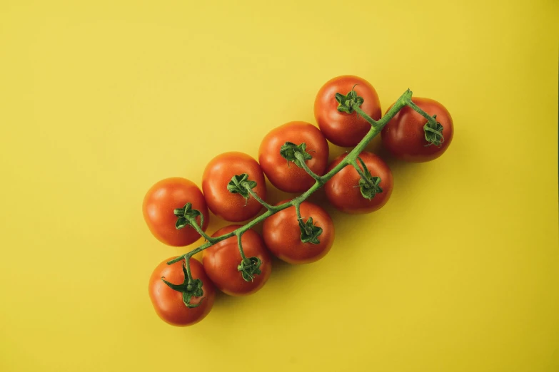 some tomatoes and green leaves on a yellow table