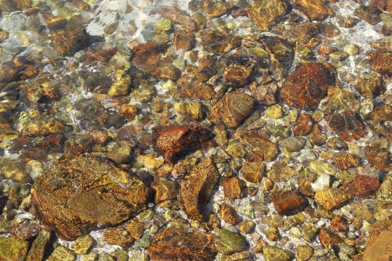 a small bird standing on some rocks by water