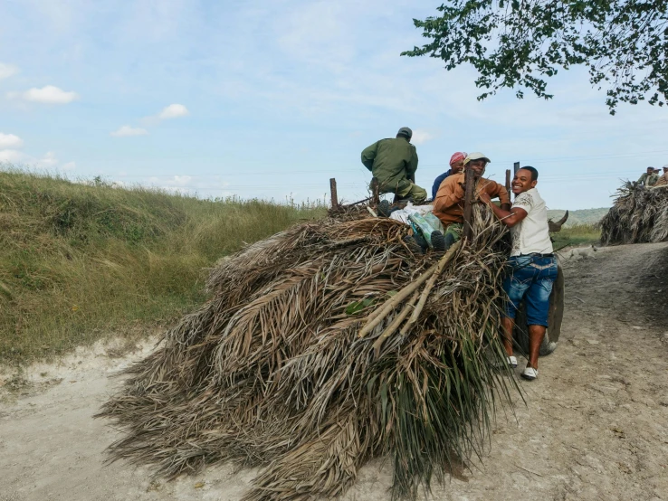 two men and one woman loading bamboo onto a truck