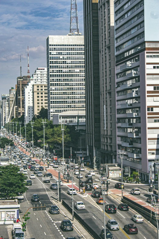 city street in front of tall buildings in large city