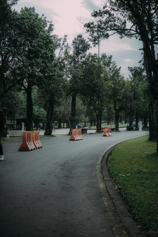 some road barriers and trees and grass on a street