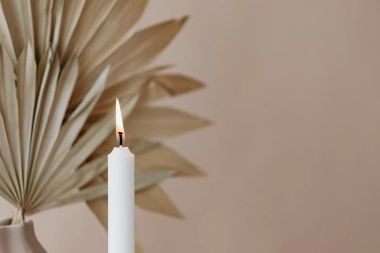 a white candle that is sitting near a vase