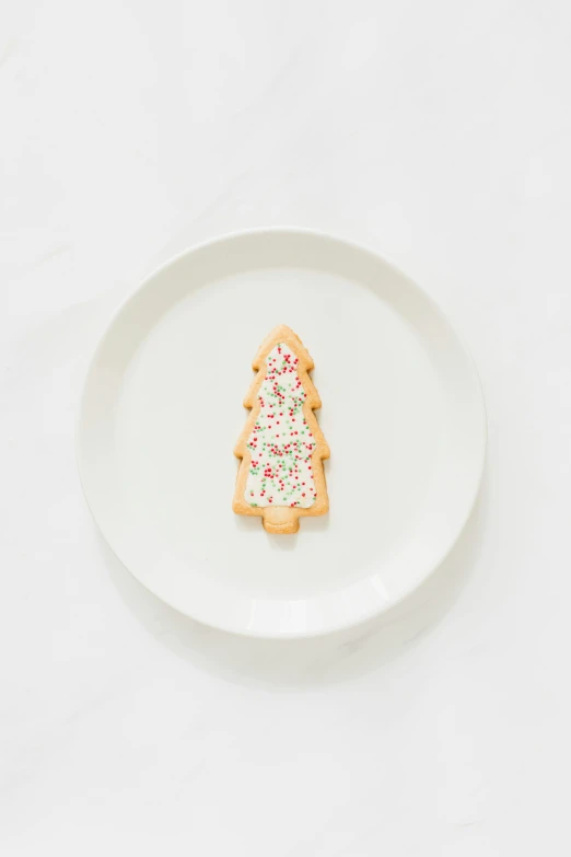 a decorated christmas tree cookie on a plate