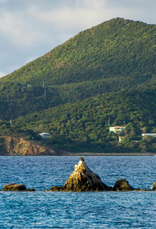 a po of the ocean with trees and hills in the background