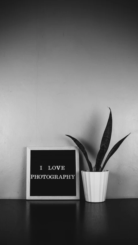 black and white pograph of a potted plant with an i love pography sign