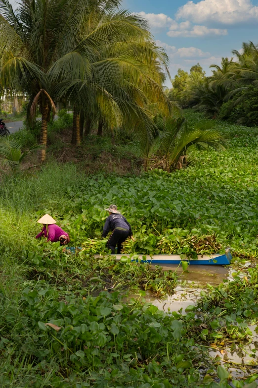 two people work with water plants to protect them from flooding