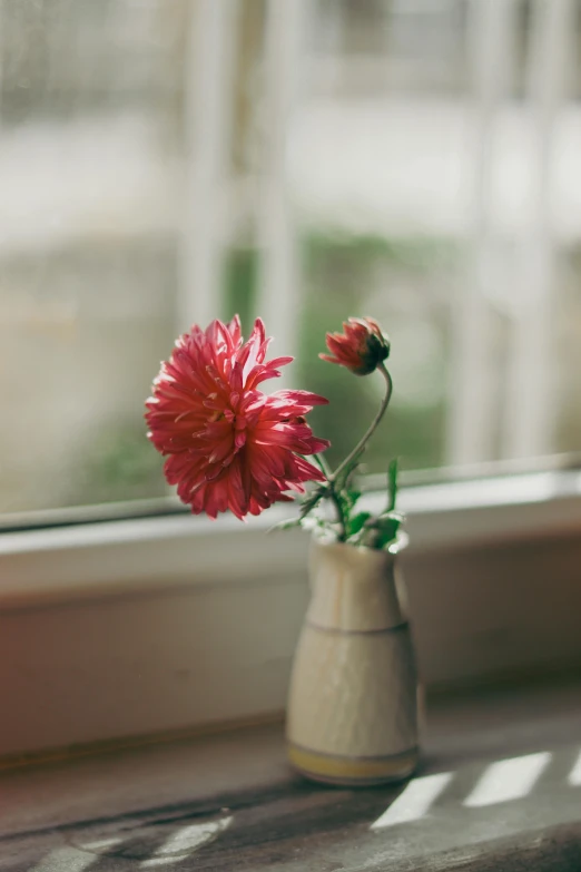 a vase with pink flowers in it sitting on a windowsill