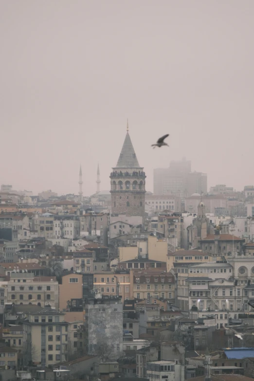 a bird flying in front of a very large city