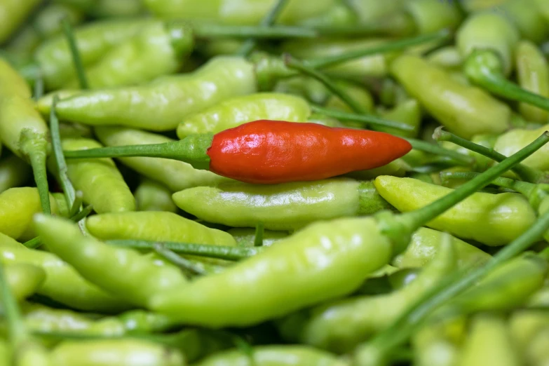 there is some green beans and a red pepper