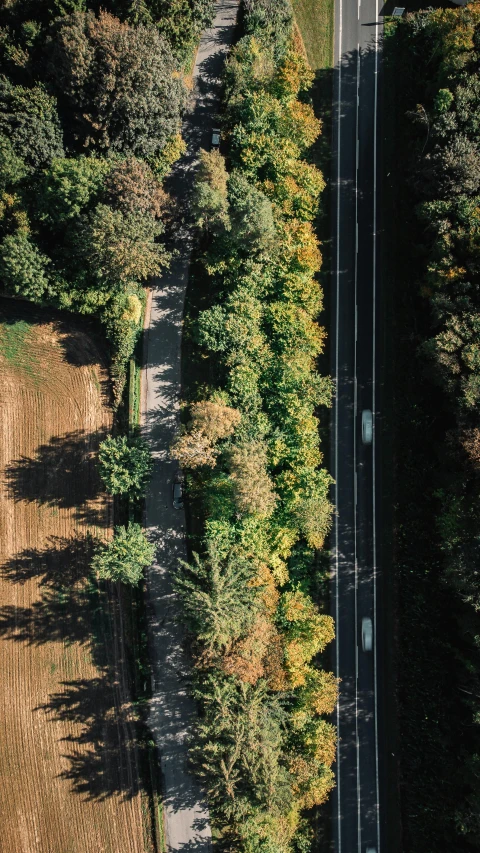 an aerial s of some very pretty trees