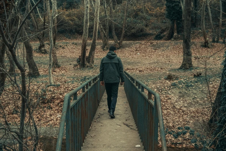 a person walking on a path in a forest