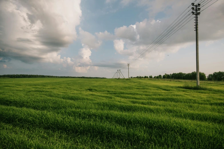 a tall telephone pole in the middle of a lush green field