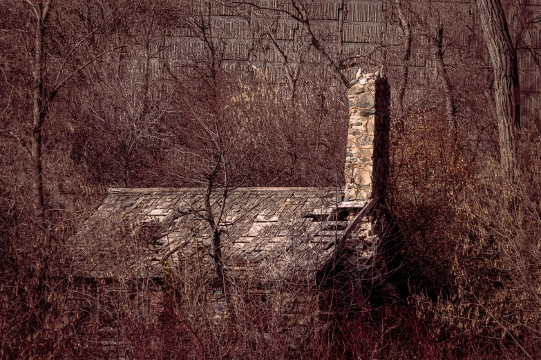 this is an image of an old house in the woods