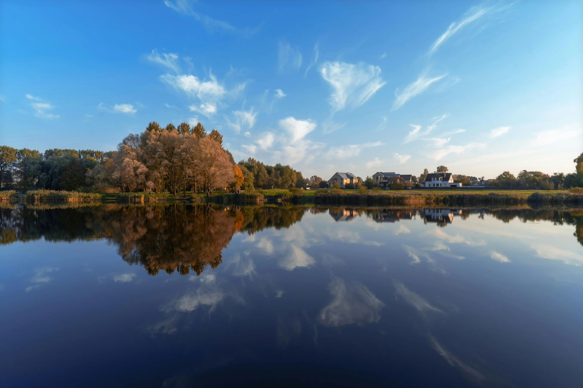 some houses on the shore of a lake and some trees