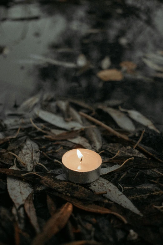a lit candle on the ground surrounded by dry grass