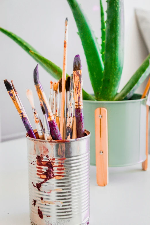 a cup full of paint brushes next to a potted aloein plant