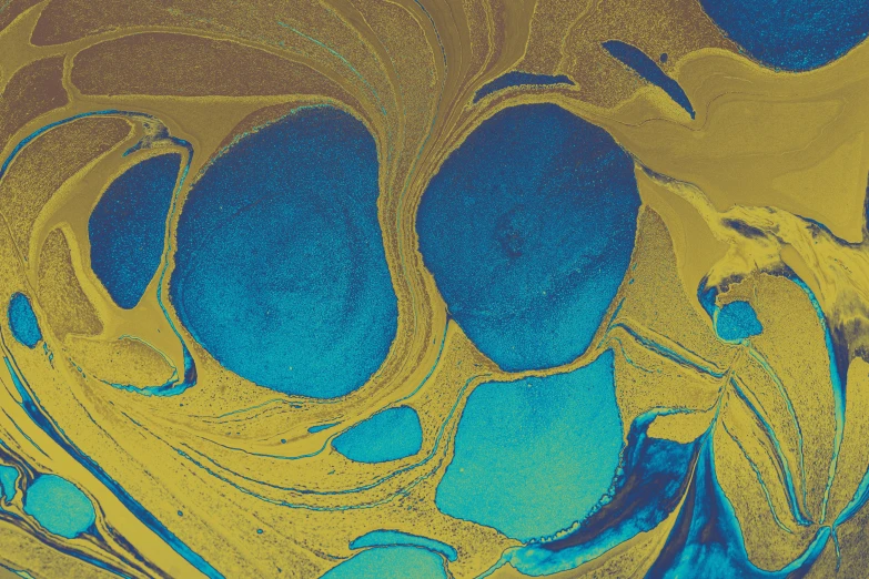 an abstract pograph made using the microscope technique