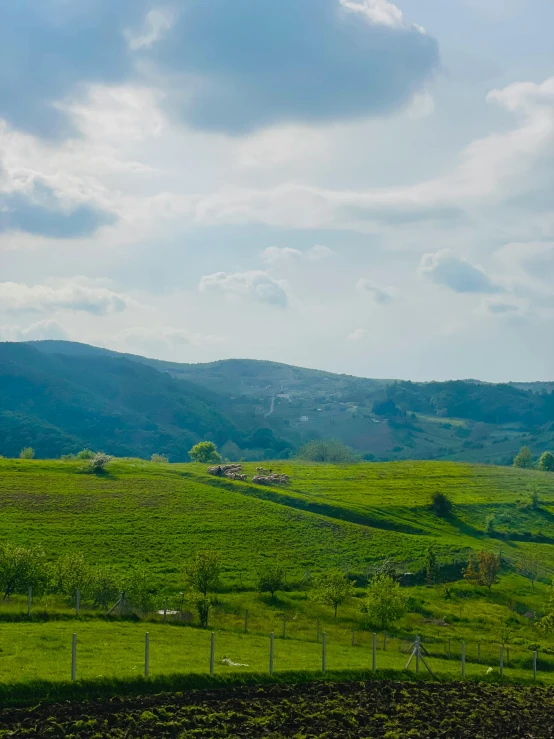 a large green field with animals and hills in the background