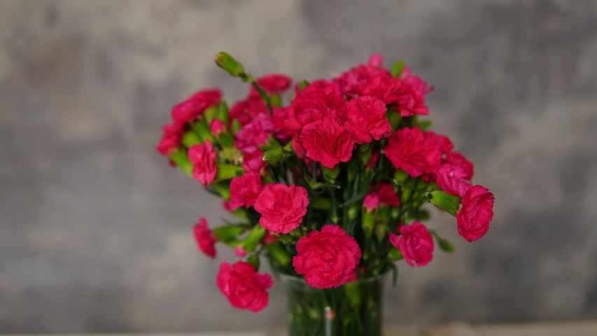 a bunch of red carnations in a vase