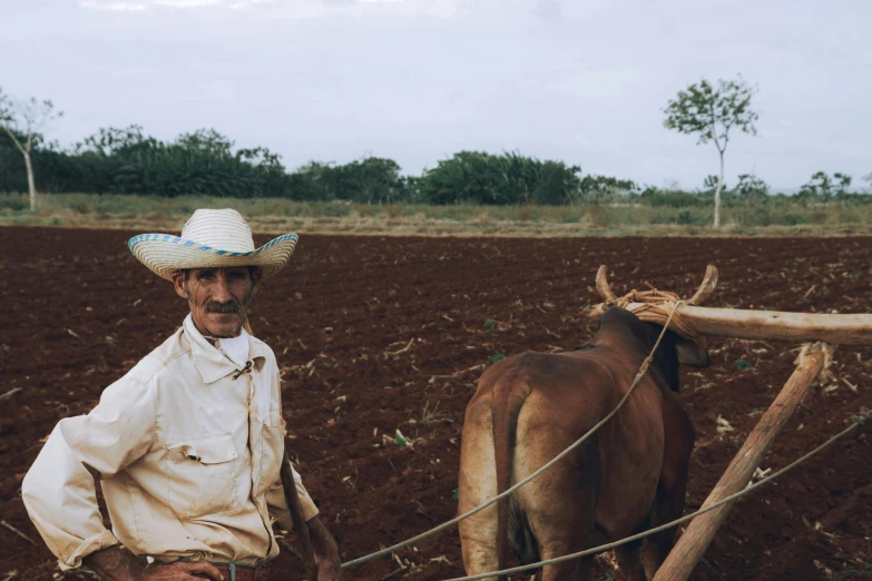 a man in a straw hat is in the field