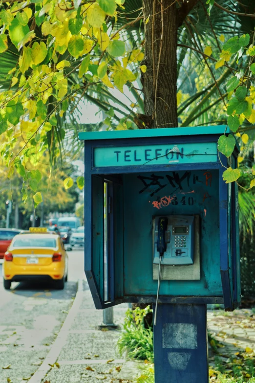 the phone booth has been broken down by a tree