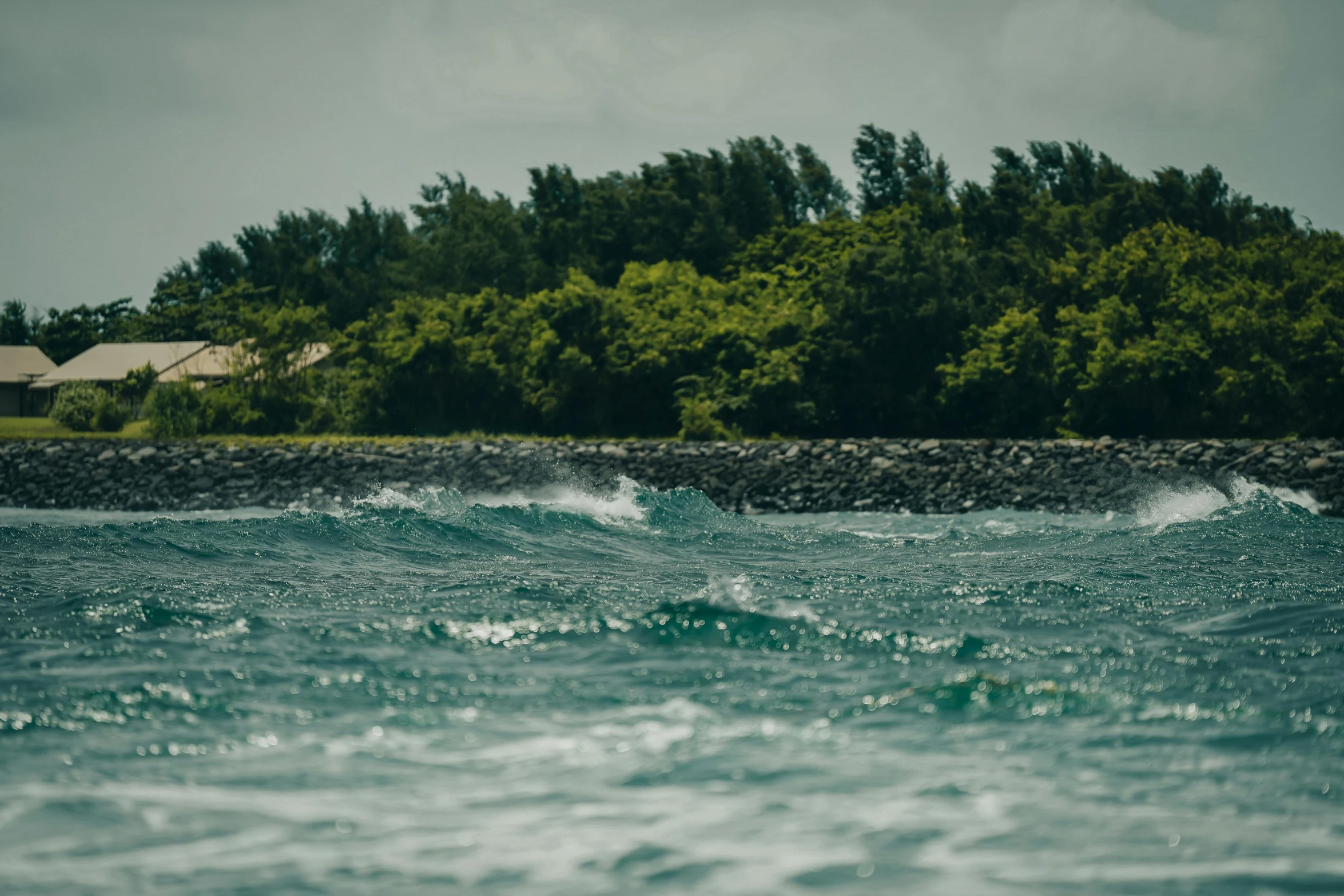 the view of water as it looks like we have never seen waves in any other way