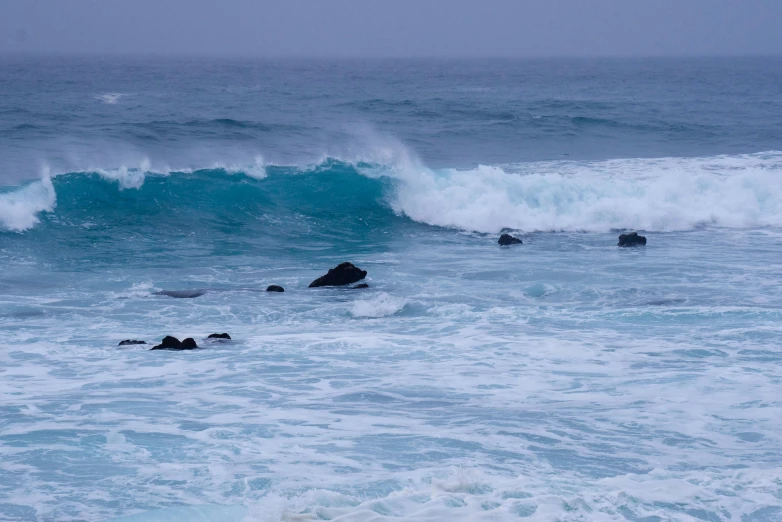 a surfer rides his board into the ocean