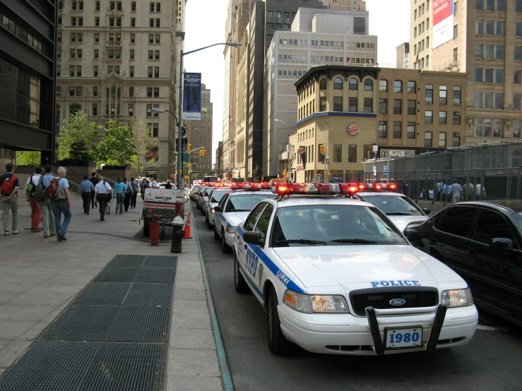 many police cars are parked along the side of the road