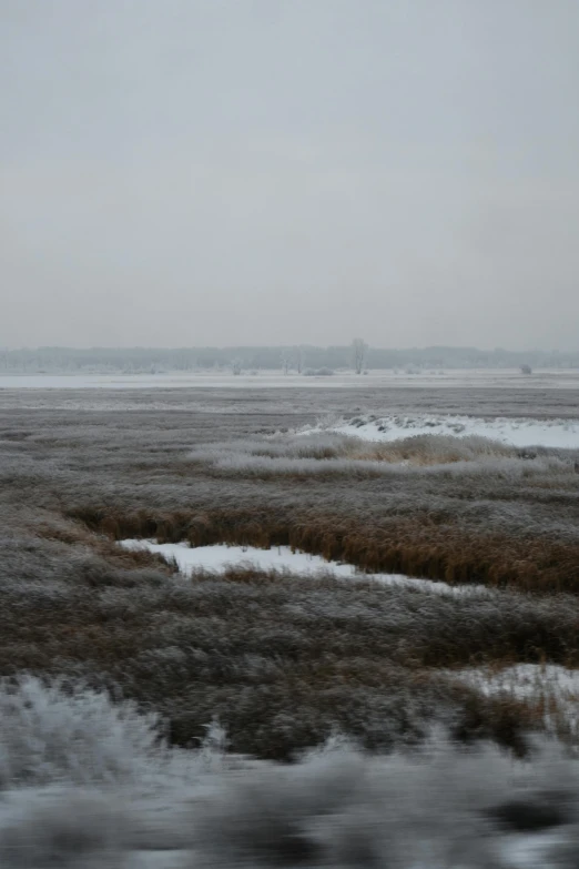 fog over the landscape in a rainy climate