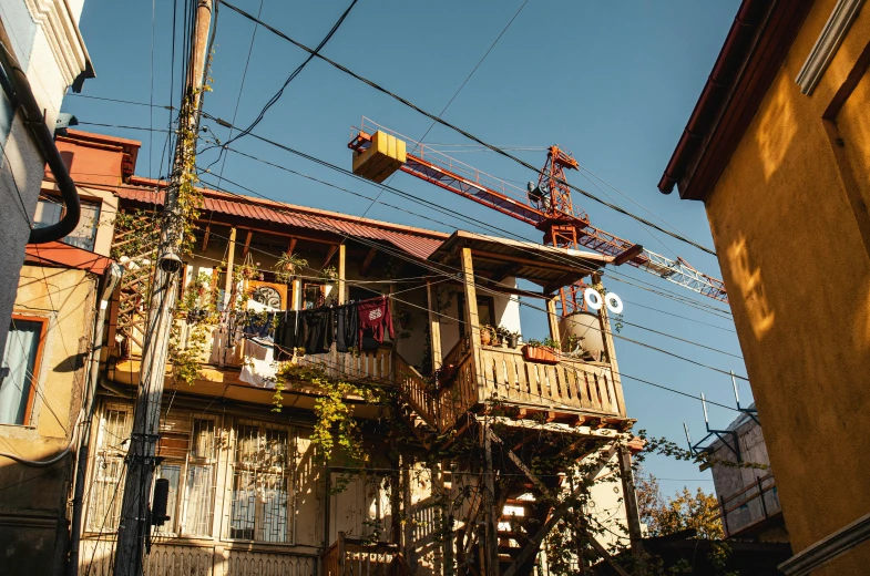 the balcony is covered with plants and has lots of power lines