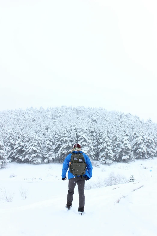 a person wearing skis standing in snow near a forest