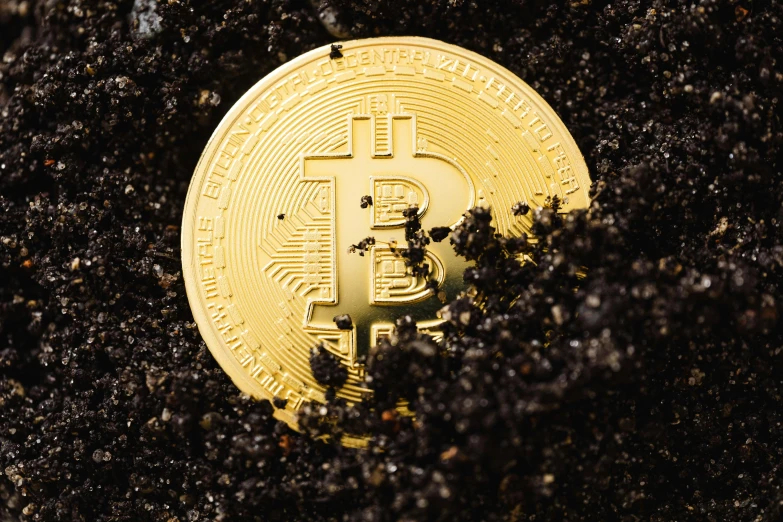 there is a bit coin sitting in the dirt