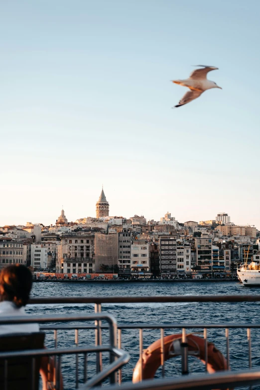 a flock of birds fly over the water