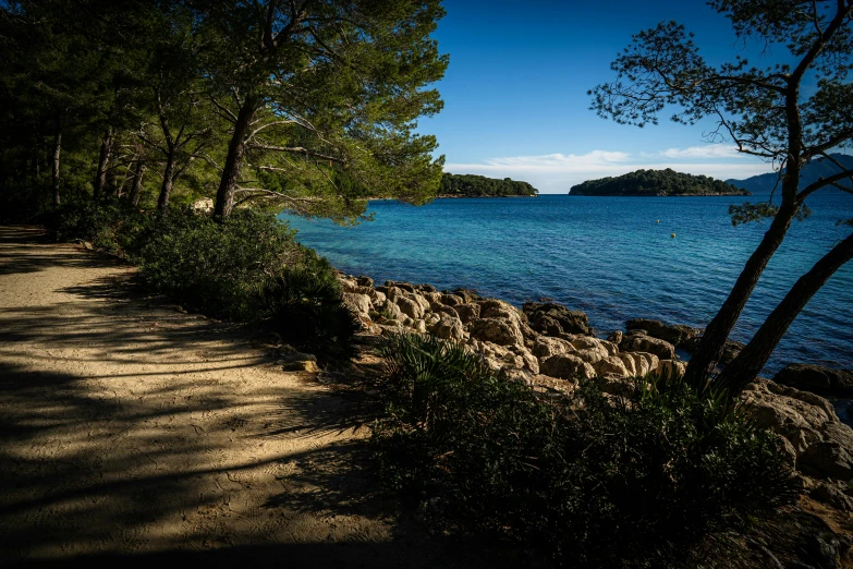 a path near the beach leading to a clear ocean