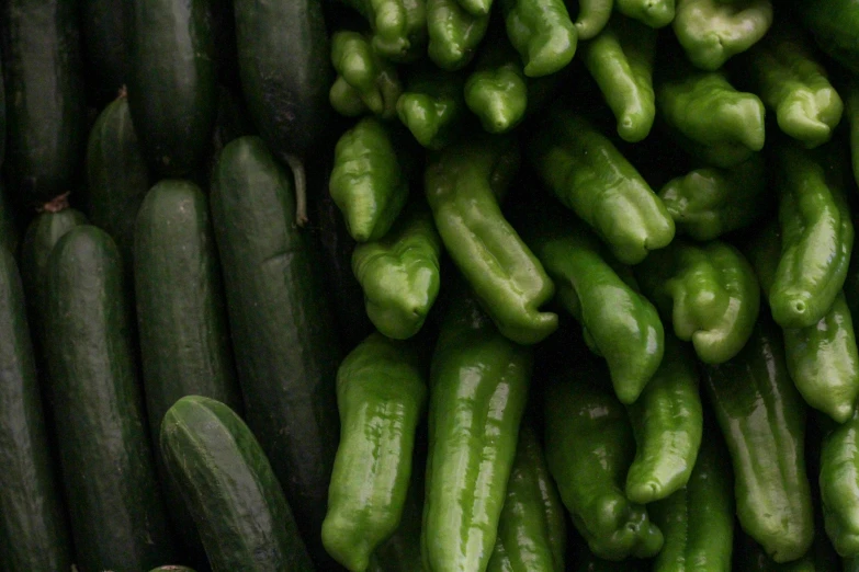 cucumbers are green and stacked up to be sold