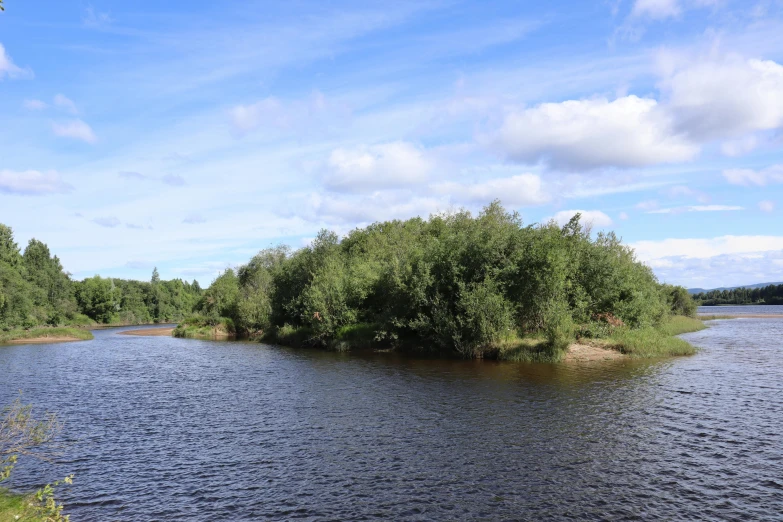 a body of water near many trees