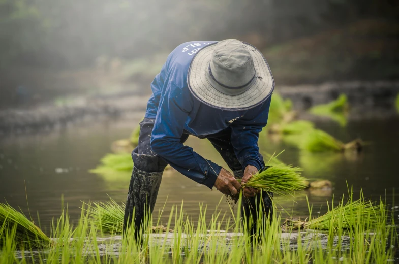 there is a man working in the field