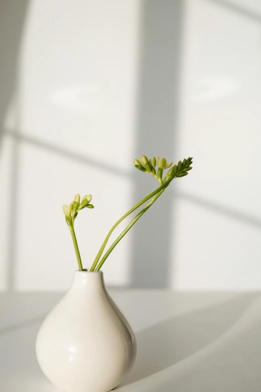 a white flower vase with two green flowers in it