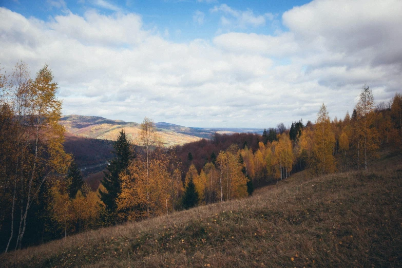 a mountain is surrounded by trees and clouds