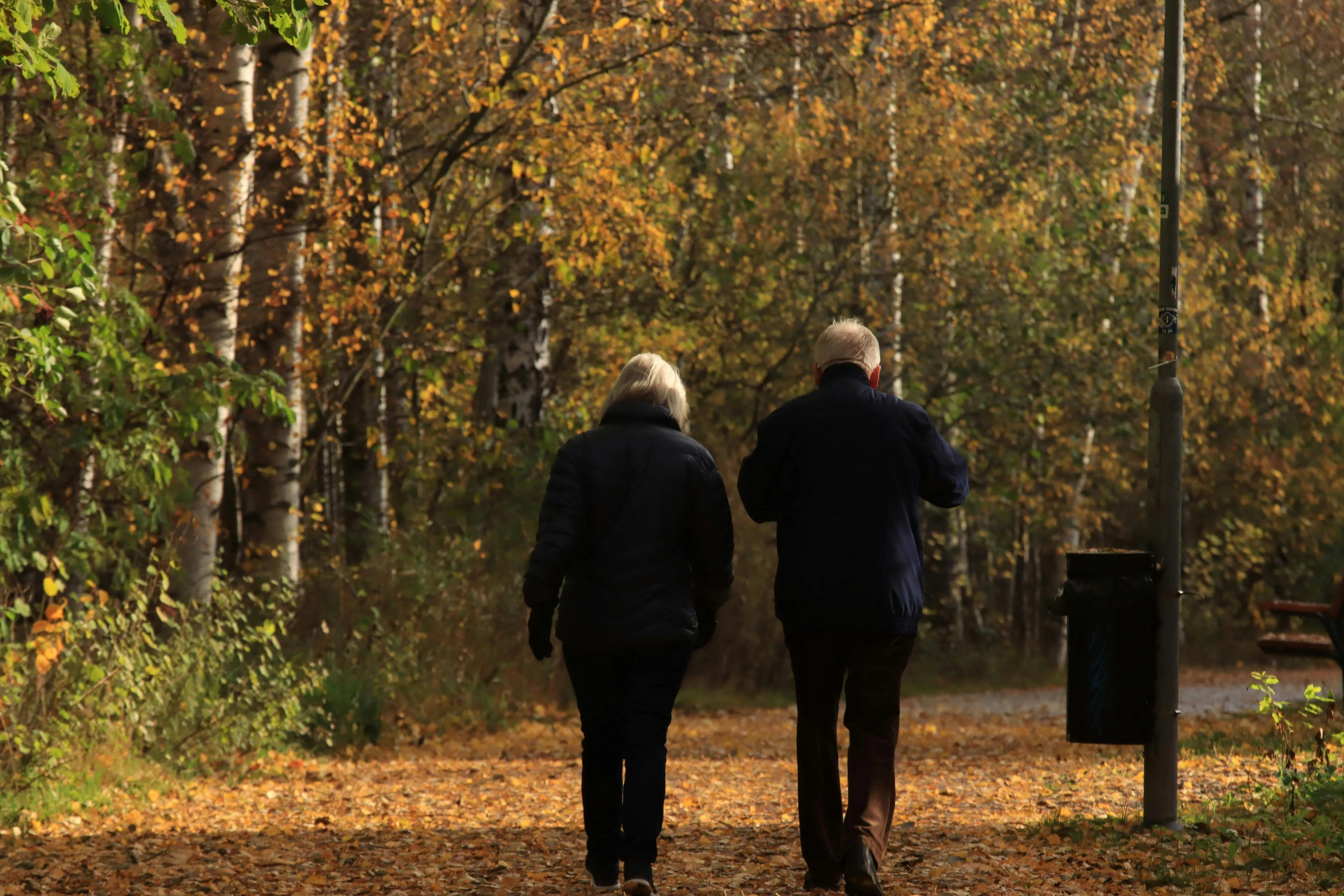 a couple of people that are walking through some leaves