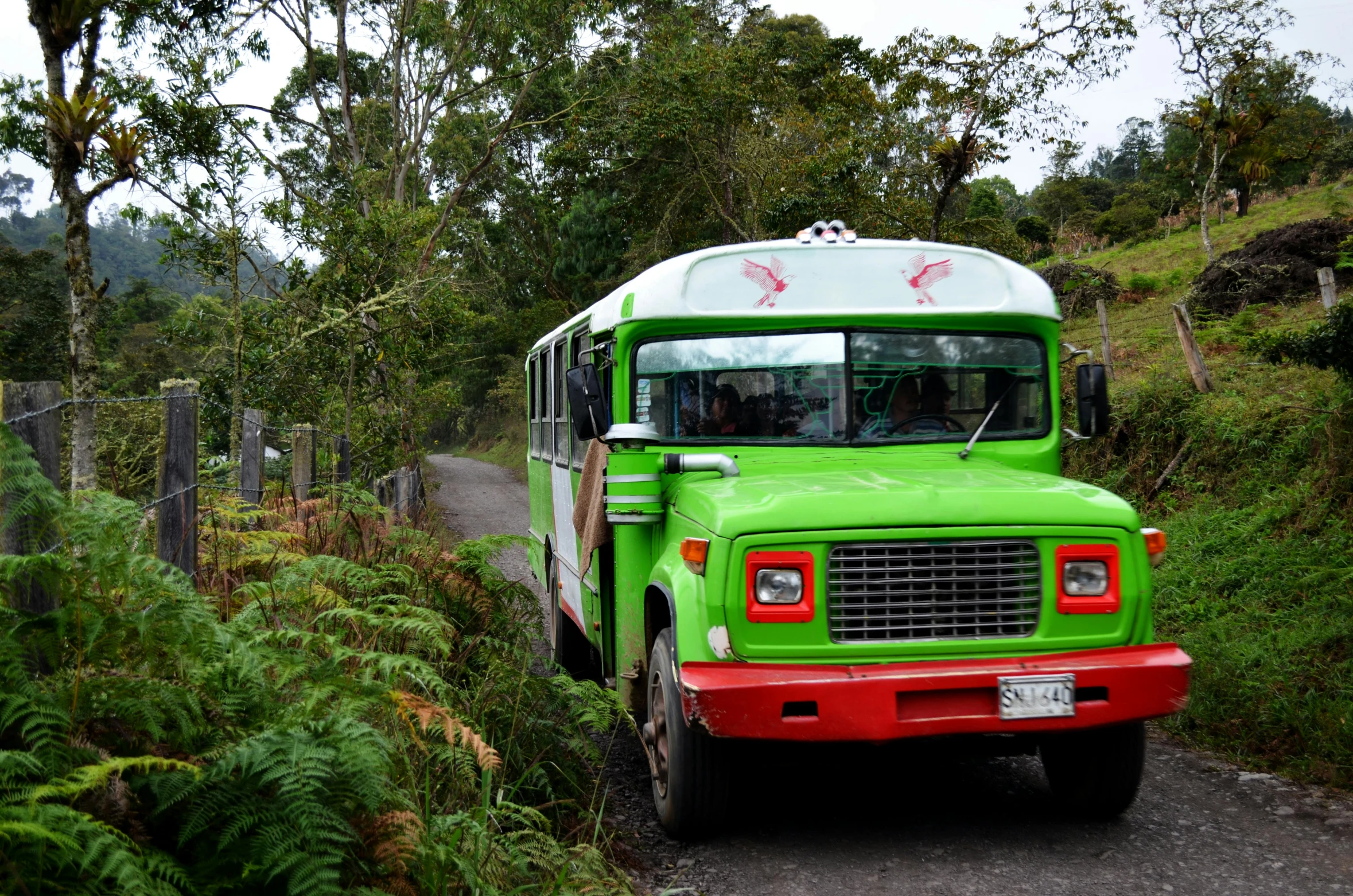 a big green bus traveling down a small road