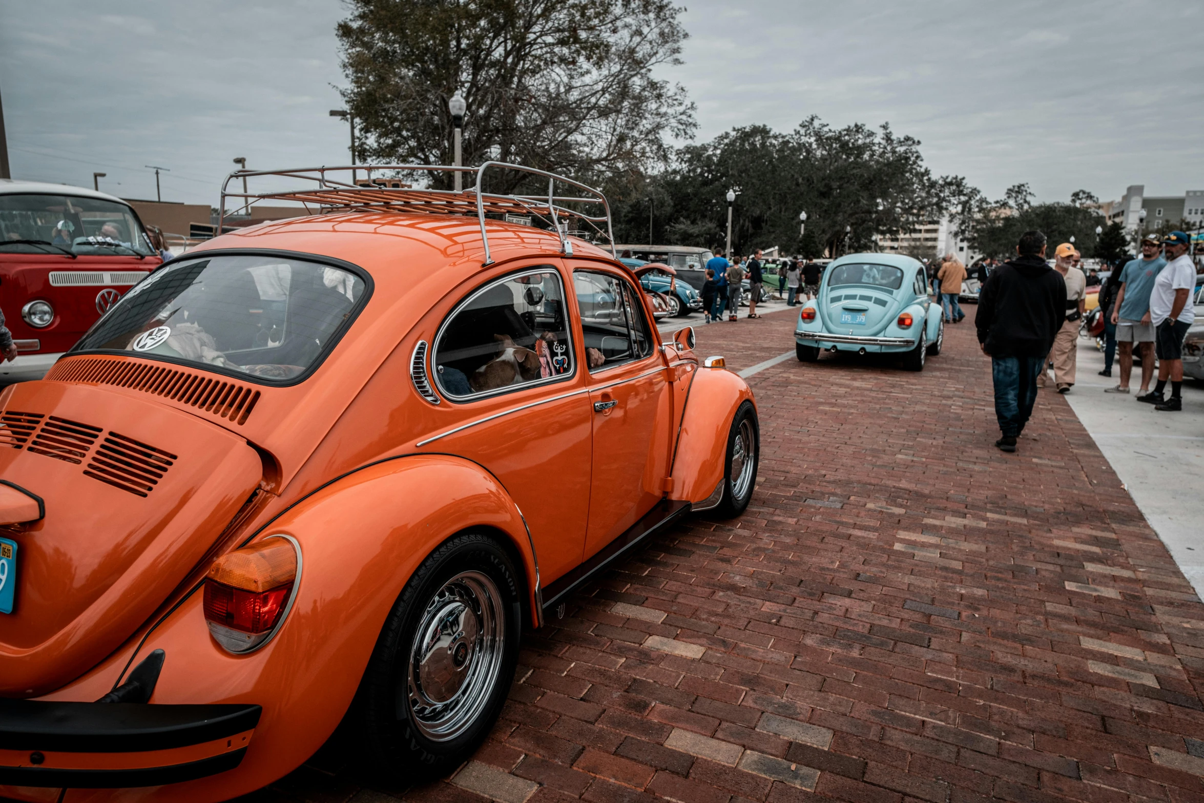 several classic cars in a line near the sidewalk