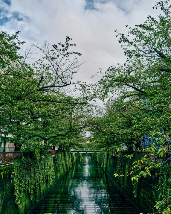 the reflection of water in the wet surface of a pond