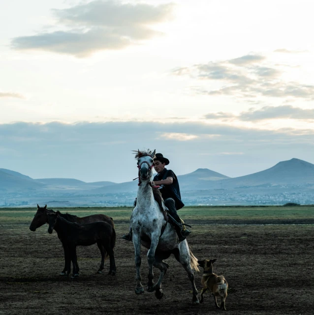 a person that is riding on the back of a horse