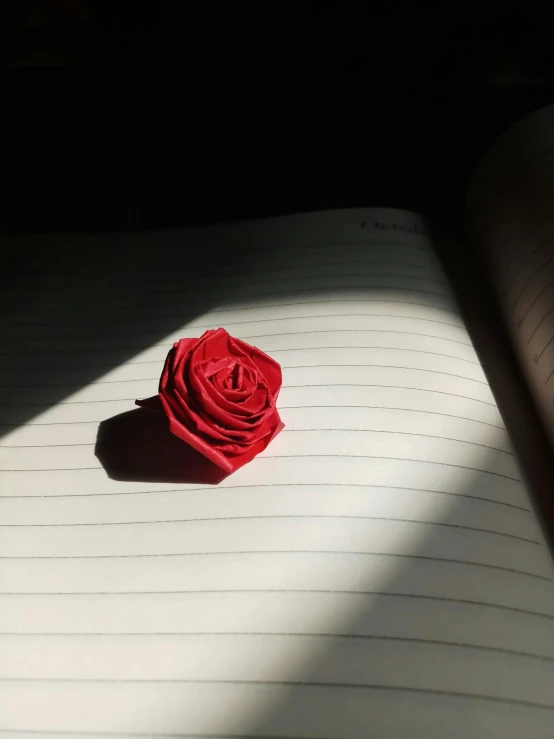 there is a rose on a paper in the middle of the book