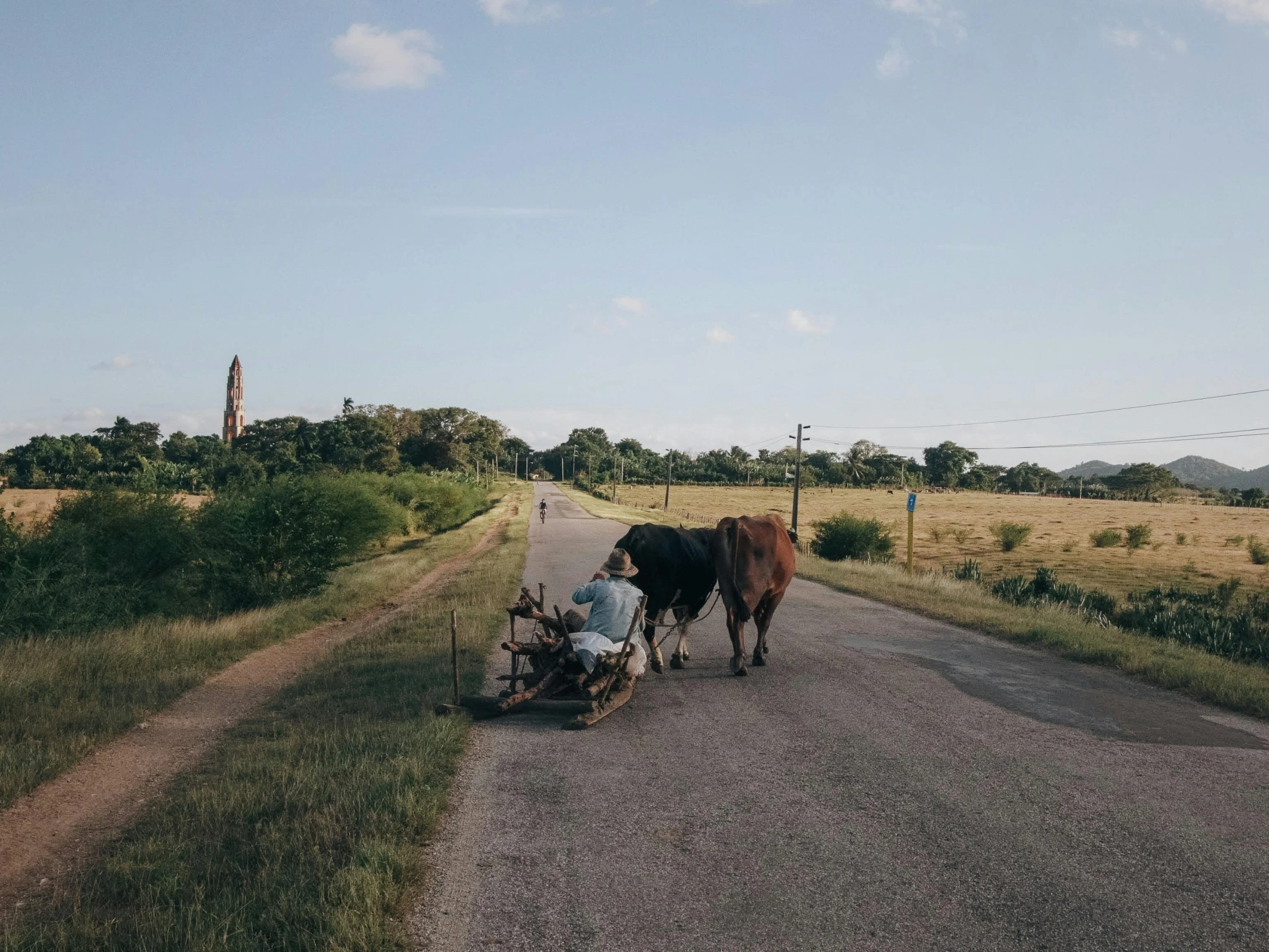 the cow is walking past some people on a motorcycle