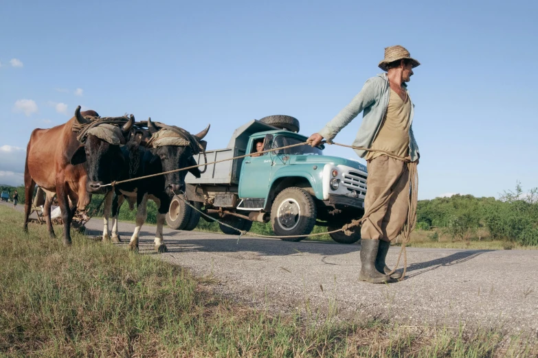 man pulling horses attached to a vintage truck