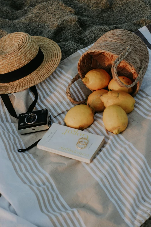 a picnic blanket with lemons, sunglasses and a straw hat