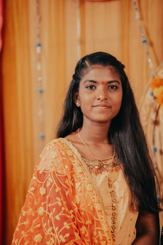 young lady in a indian saree with beautiful hair