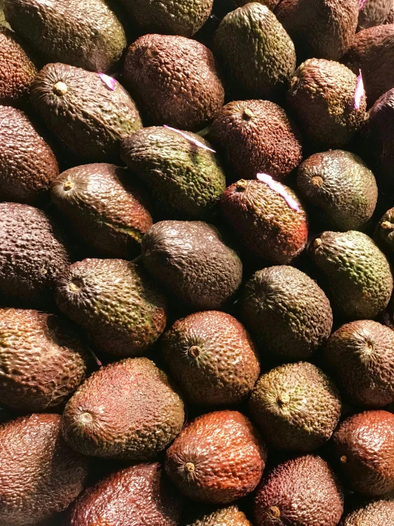 a pile of avocados sit in a display bowl